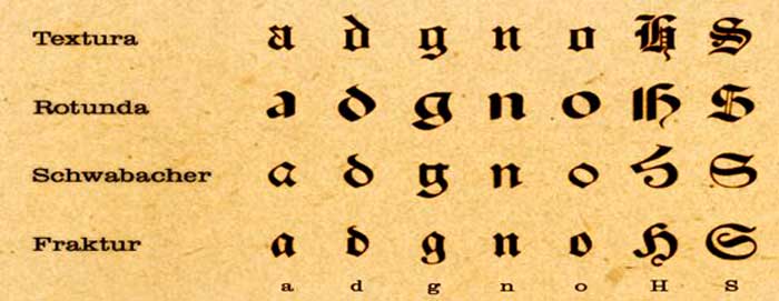 dgg5