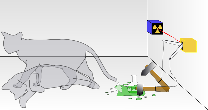 800px-Schrodingers cat svg