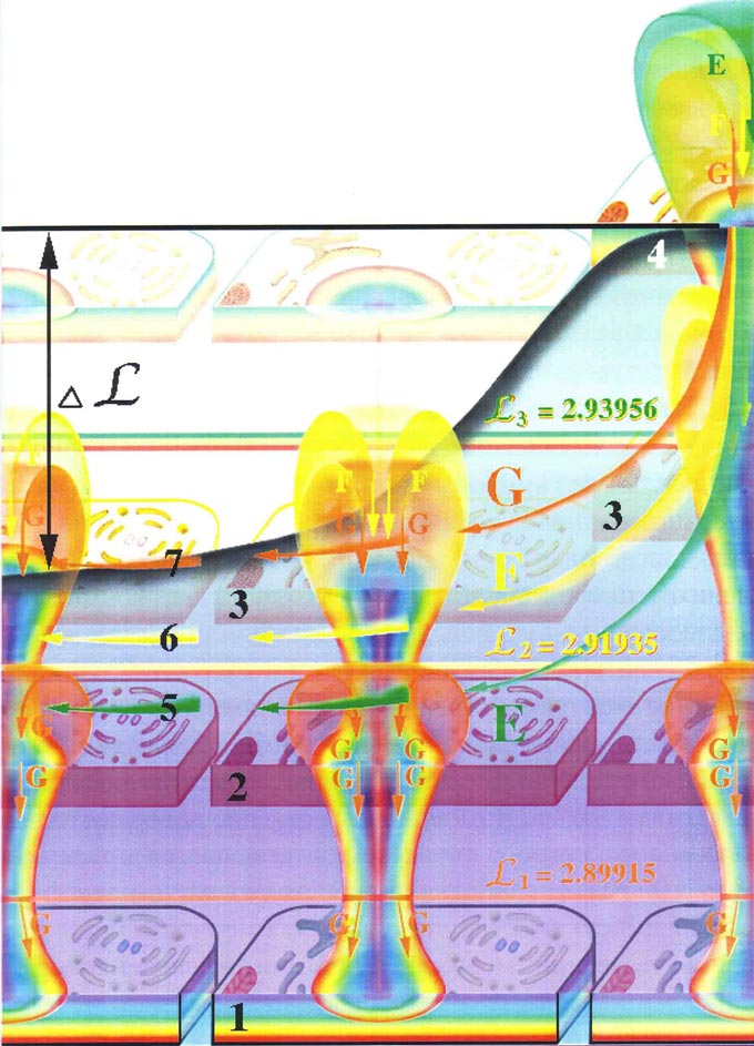 Fig-101