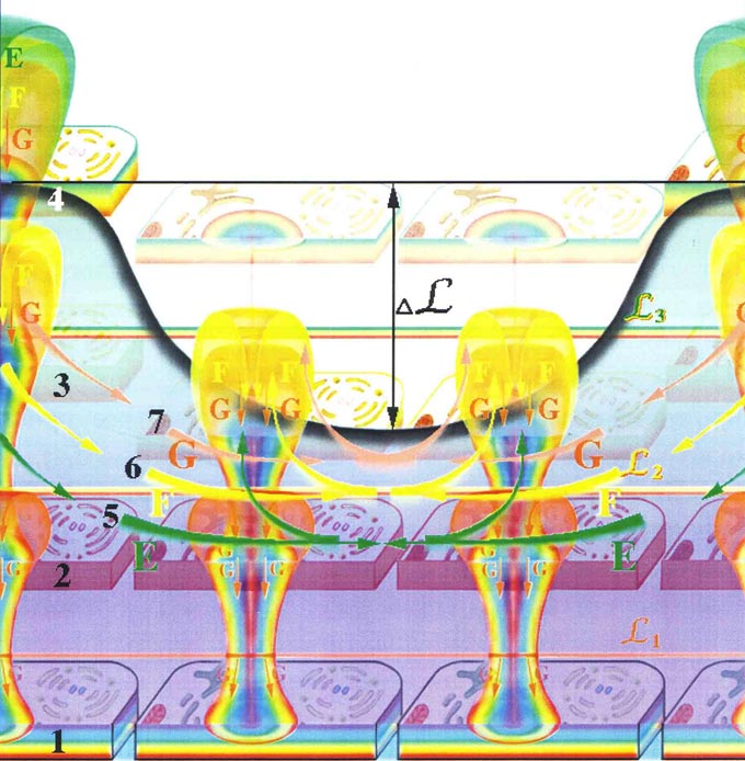 Fig-103