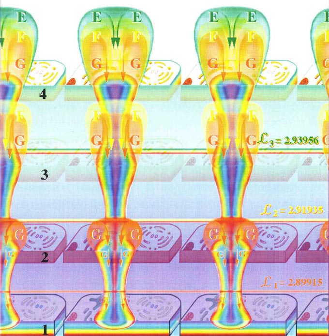 Fig-104
