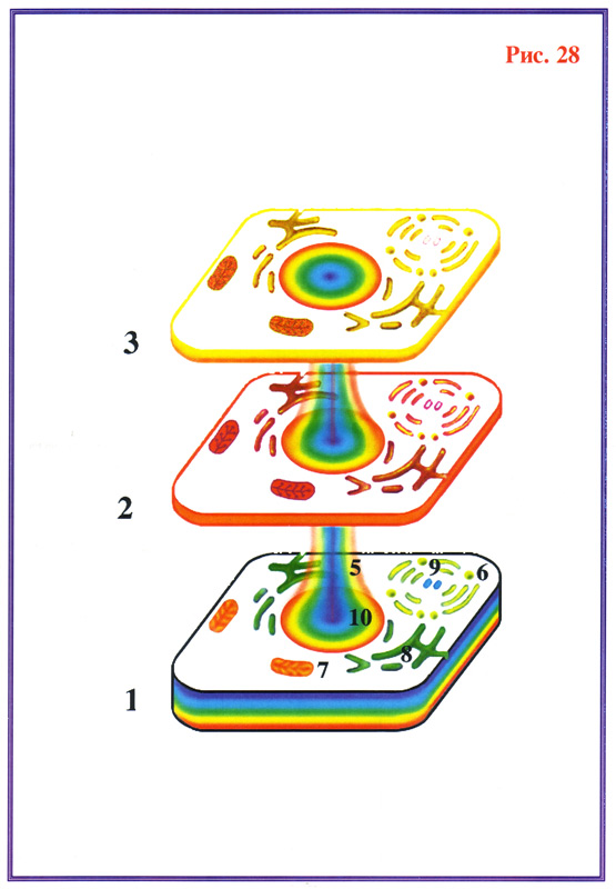 Fig-28