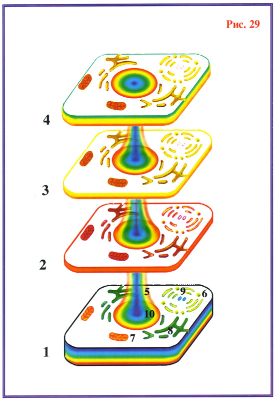 Fig-29