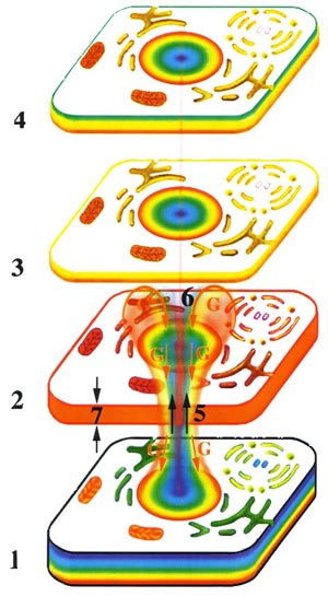 Fig-33