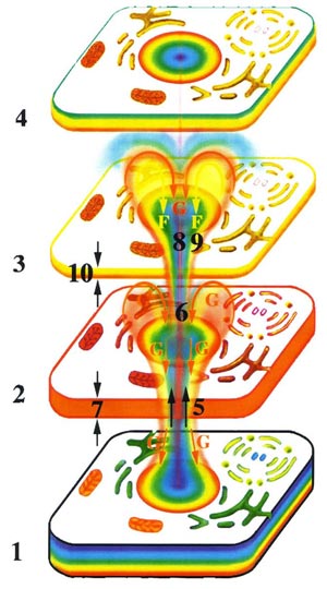 Fig-34