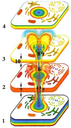 Fig-35a