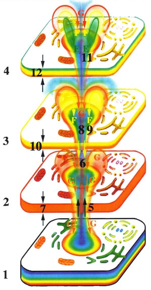 Fig-36a