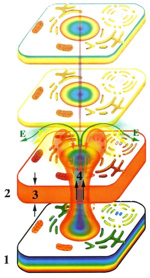 Fig-39a