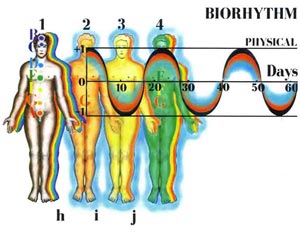 Fig-45