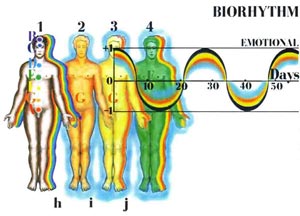 Fig-46