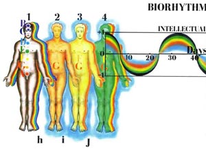 Fig-47