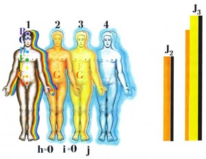 Fig-54