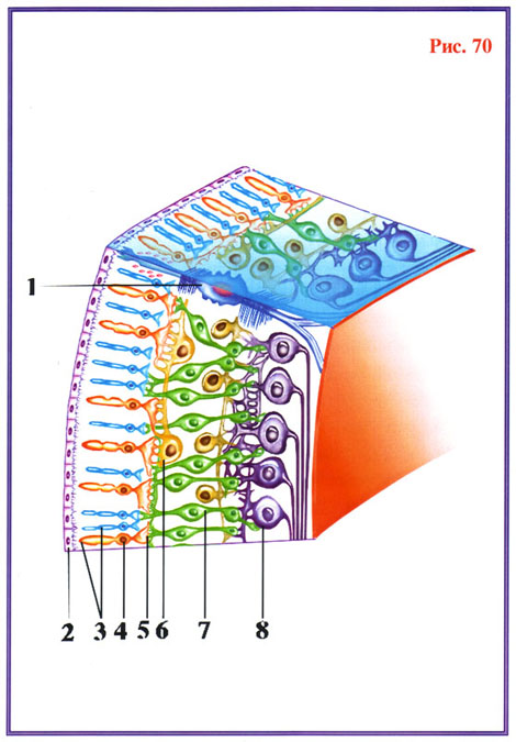 Fig-70
