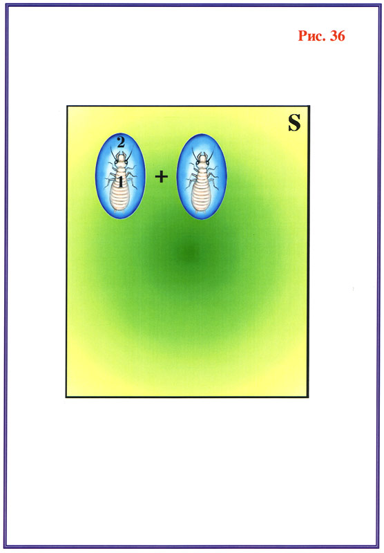 Fig1 36
