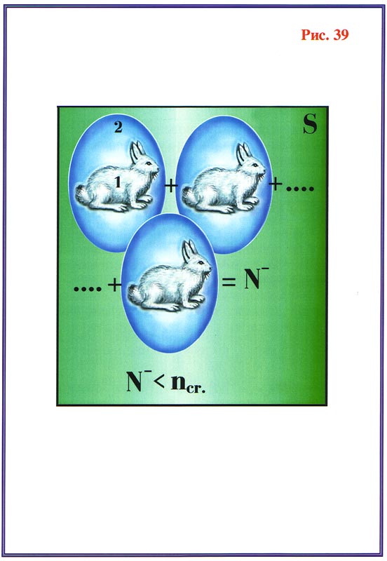 Fig1 39