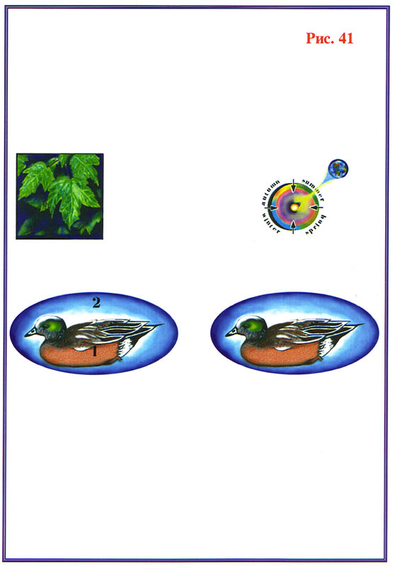 Fig1 41