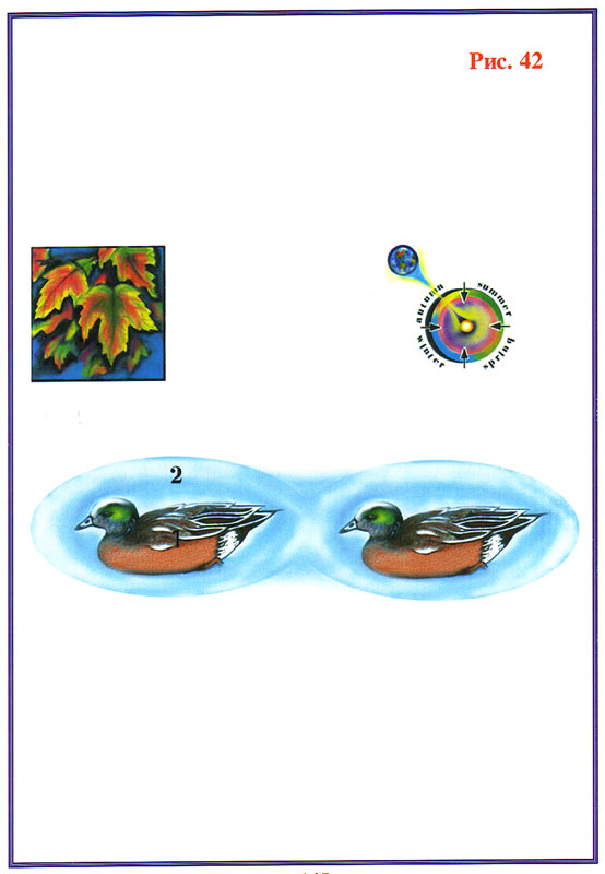 Fig1 42