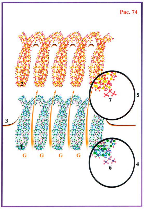 Fig 74