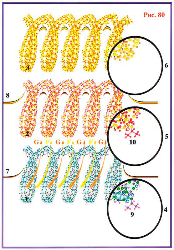 Fig 80