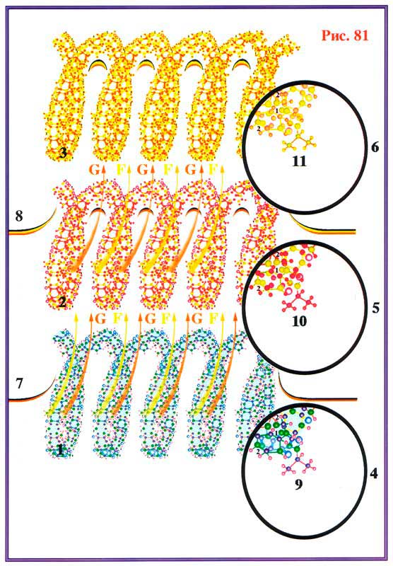 Fig 81