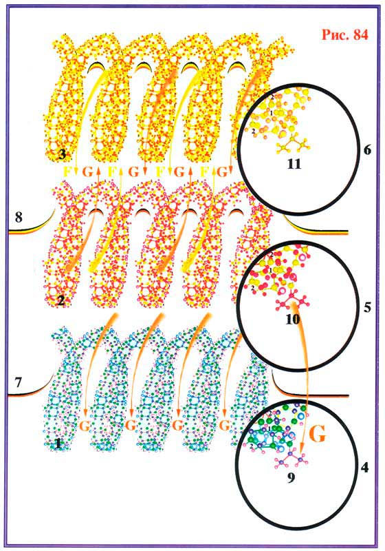 Fig 84