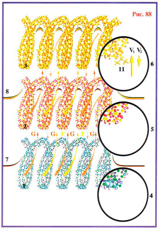 Fig 88