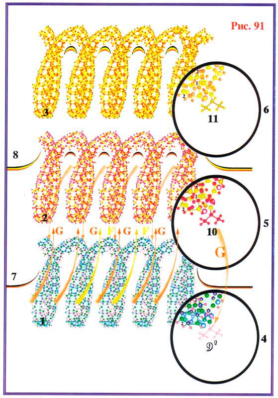 Fig 91