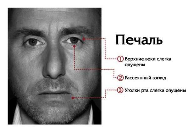 emotii-2.jpg Ученые составили карту, показывающую, где мы чувствуем эмоции