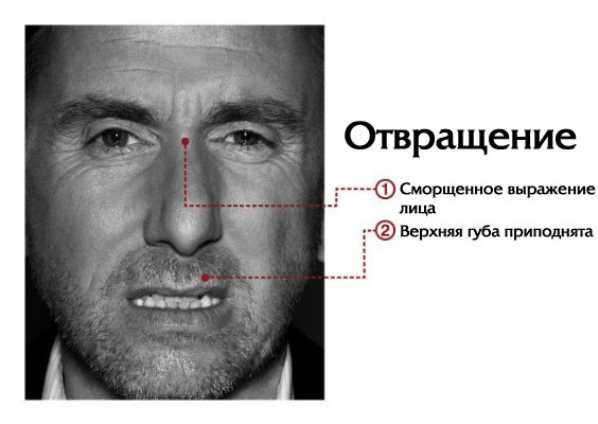 emotii-5.jpg Ученые составили карту, показывающую, где мы чувствуем эмоции