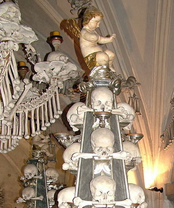 czech scullangel s