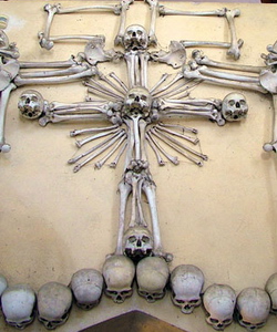 czech scullcross s