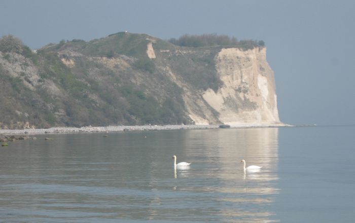 Гардарика. Русь Полабская Гардарика. Русь Полабская