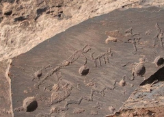 hopi4