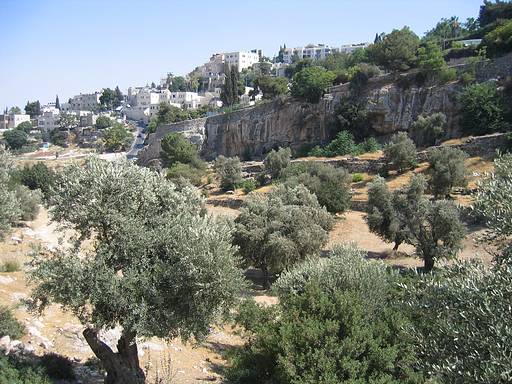 iuda18