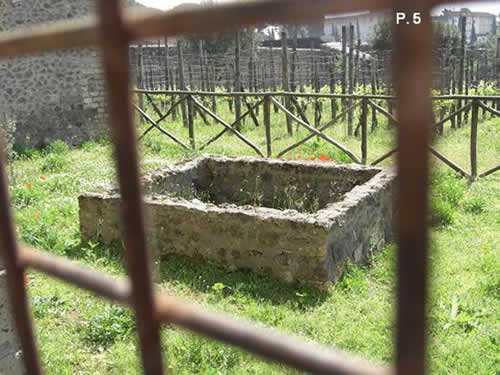 p54