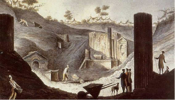 p61