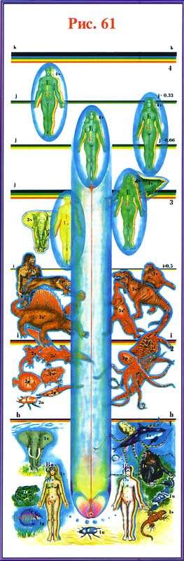 pic61
