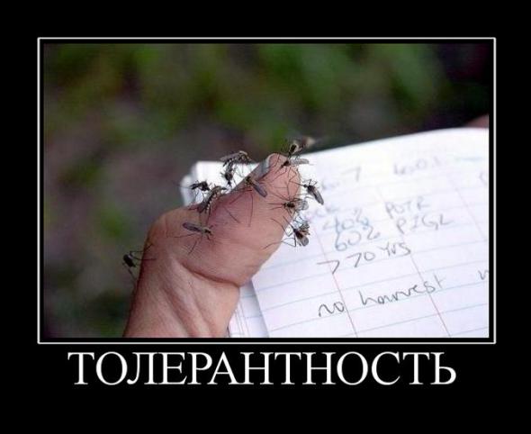 «Толерантность» убивает русских