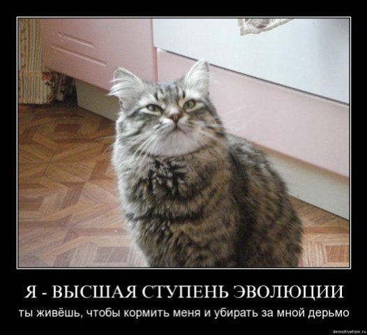 Золотой век гораздо ближе. Часть 2. По закону жить невозможно zvgb5